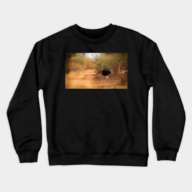 Ostrich Crewneck Sweatshirt by Graz-Photos